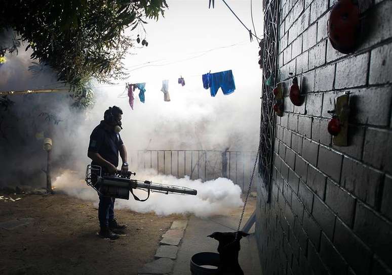 Combate ao zika vírus