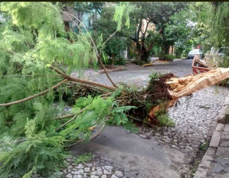 Registro dos estragos provocados por forte temporal que atingiu Porto Alegre. Imagem do bairro Rio Branco