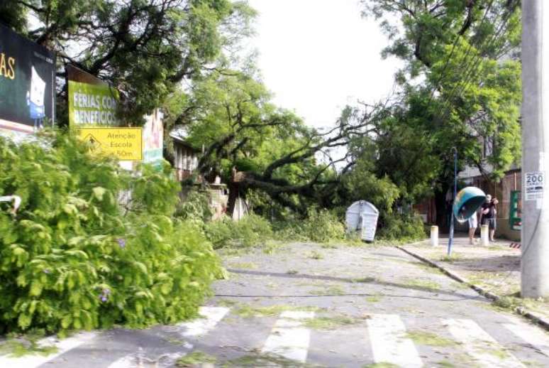 Temporal em Porto Alegre derruba árvores e deixa cerca de 85 mil sem luz
