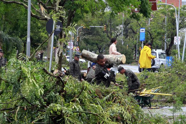 Prefeitura e Exército atuam na remoção de árvores nas vias da cidade