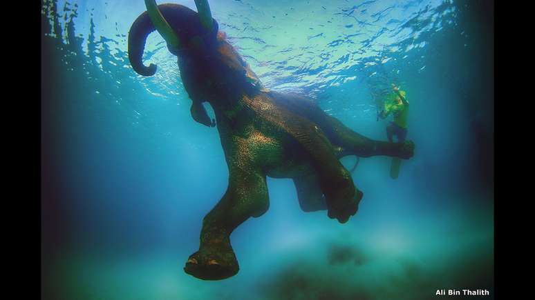 Nadar com um elefante nos arredores das ilhas Andaman, no oceano Índico, "foi um momento aterrorizante", conta Bin Thalith. "Mas foi uma das minhas melhores experiências."