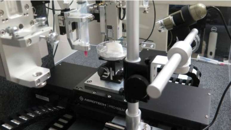 Sistema &eacute; considerado uma galinha dos ovos de ouro