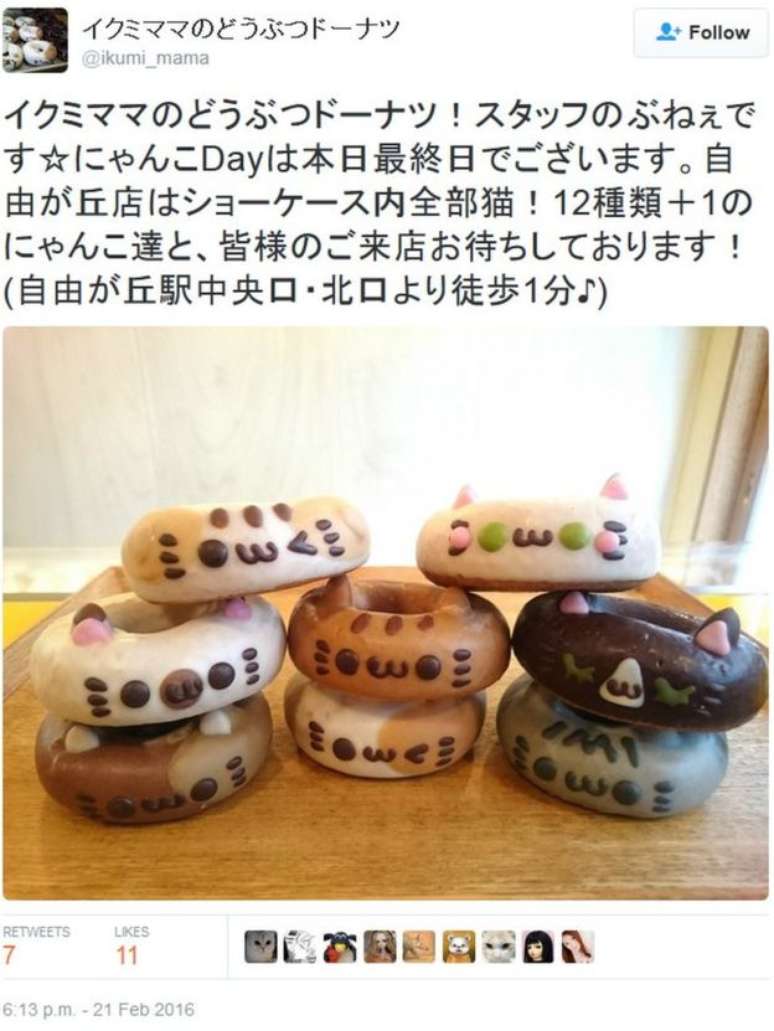 Ikumi Mama, uma padaria conhecida por produzir doces com formatos de animais, lançou uma série especial de donuts em formato de gato
