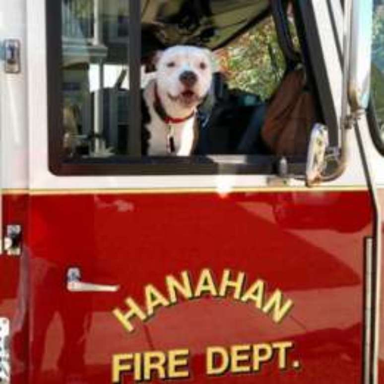 Jake agora ajuda bombeiros de Hanahan a ensinar crian&ccedil;as a como agir em caso de inc&ecirc;ndio