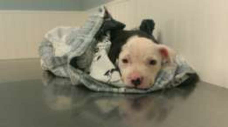 Jake ficou sozinho em uma casa em chamas