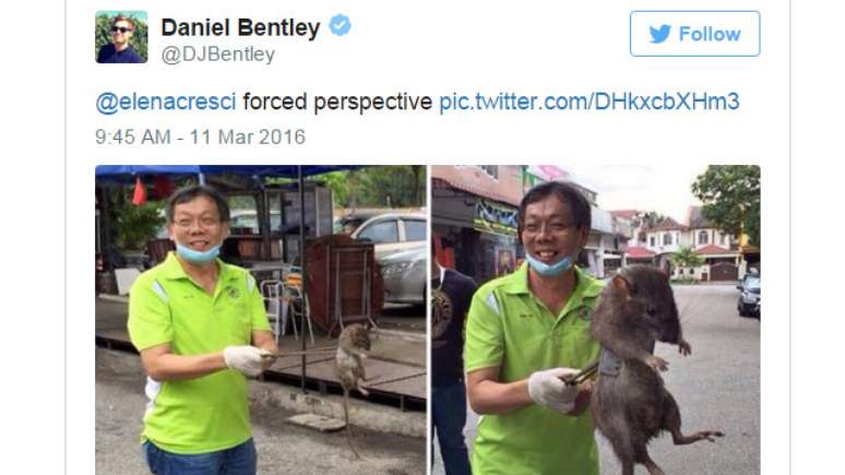 Em sua conta no Twitter, &lrm;@DJBentley mostra um colega fazendo uma "perspectiva for&ccedil;ada" com um rato