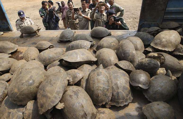 O motorista do caminh&atilde;o abandonou o ve&iacute;culo e conseguiu escapar