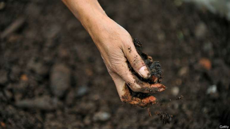 Terra boa para plantas precisa ser rica em nutrientes