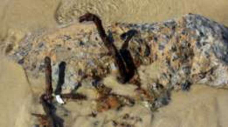 Restos de obras, pedras e vergalh&otilde;es s&atilde;o risco para banhistas, (Foto: ONG Salvemos S&atilde;o Conrado)