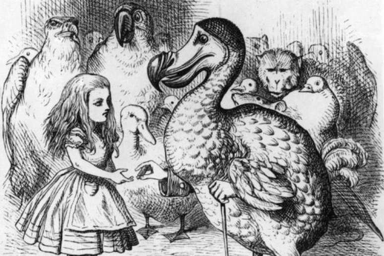 O tema que conecta as respostas do sexto desafio &eacute; 'Alice no Pa&iacute;s das Maravilhas'