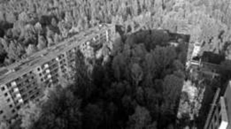 Floresta invadiu ruas de cidade fantasma