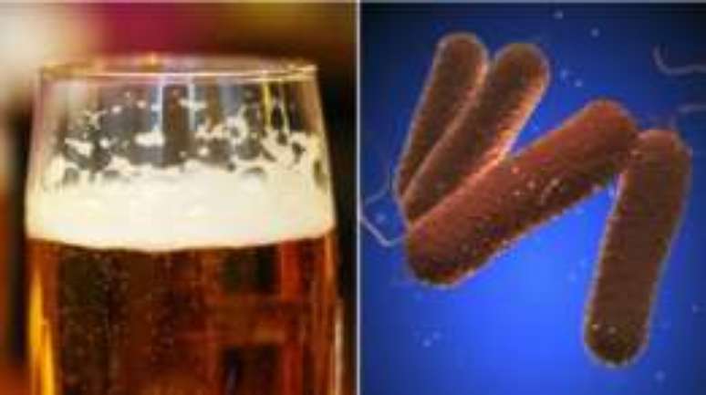 O lúpulo da cerveja também pode ter propriedades antibacterianas