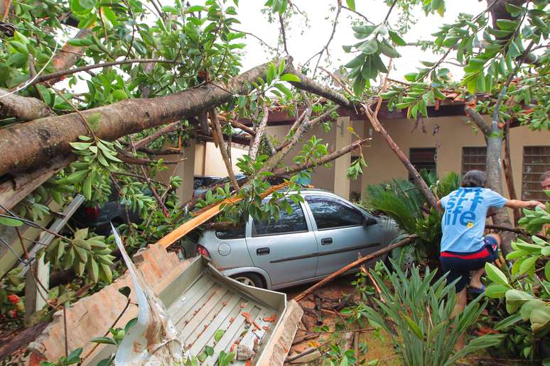 Árvore seringueira, de aproximadamente 40 metros, cai sobre uma casa durante chuva, na Rua Abraão Isaac Halack, na Zona Sul de Ribeirão Preto (SP), nesta segunda-feira (16). A família ficou presa no local. 