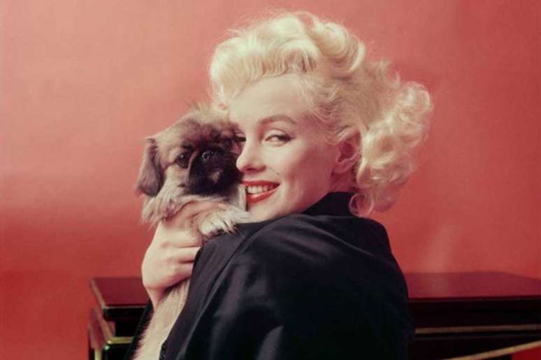Na foto de Milton Greene, Marilyn Monroe parece ao mesmo tempo sedutora e inocente