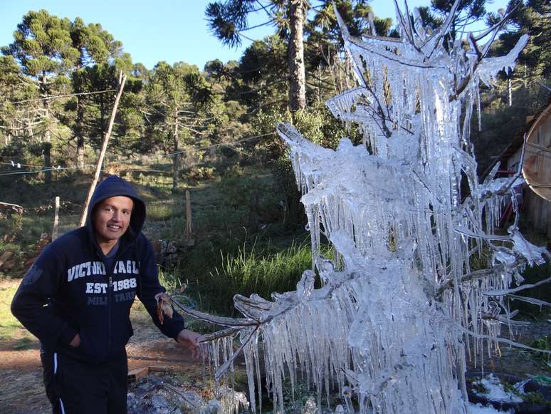 O frio congelou a água sobre uma árvore