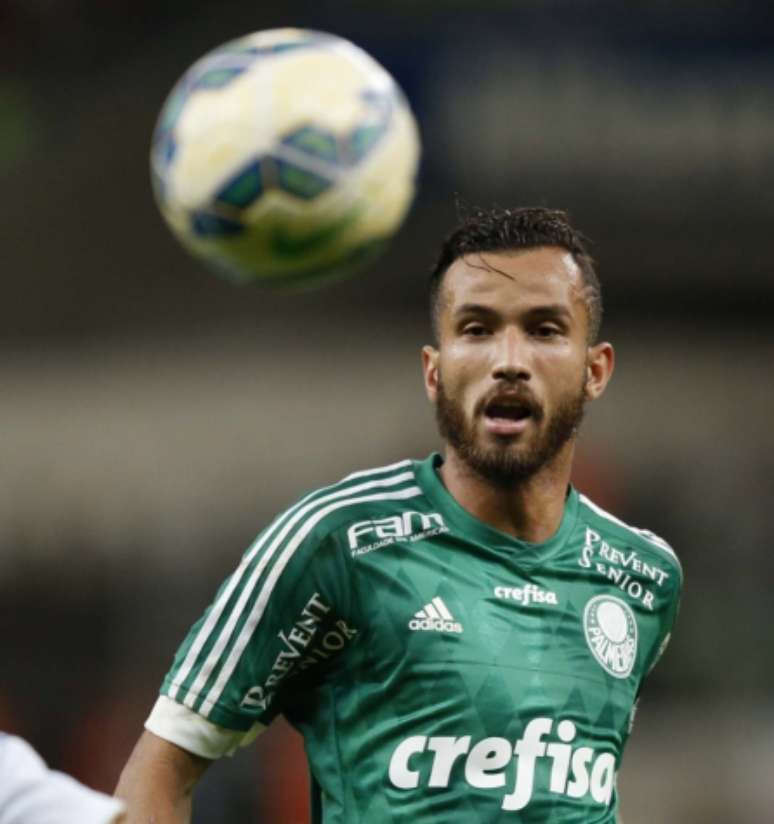 
                        
                        
                    Leandro Pereira marcou dez gols no ano passado pelo Palmeiras (Foto: Ari Ferreira/Lancepress!)