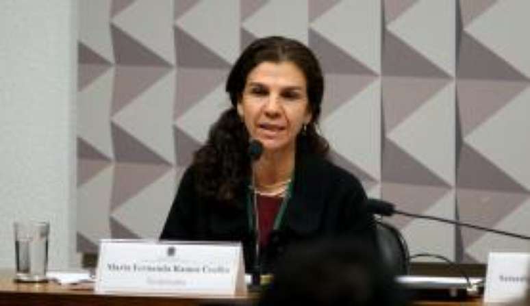 O apagão interrompeu o depoimento da ex-secretária executiva do Ministério do Desenvolvimento Agrário Maria Fernanda Ramos Coelho