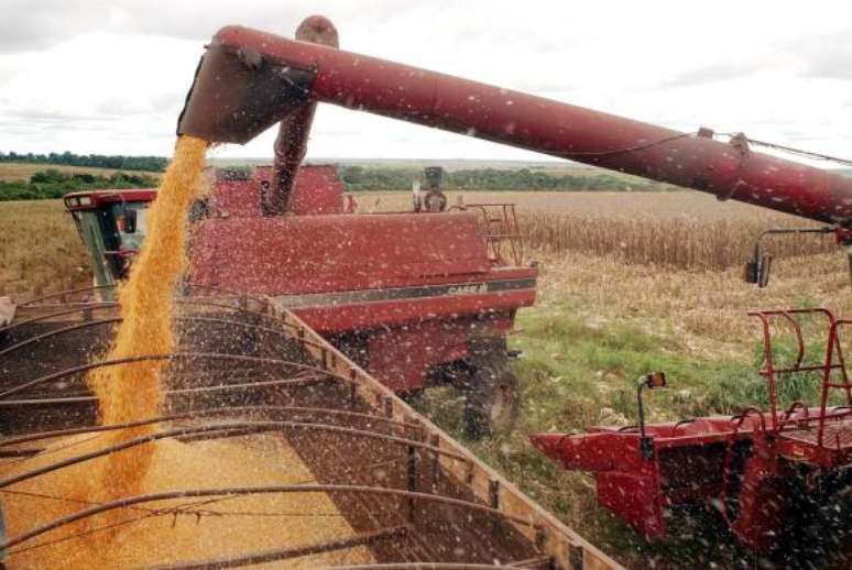 Safra brasileira de grãos deste ano deve ser 8,4% menor do que a de 2015, que foi de 209,4 milhões de toneladasl