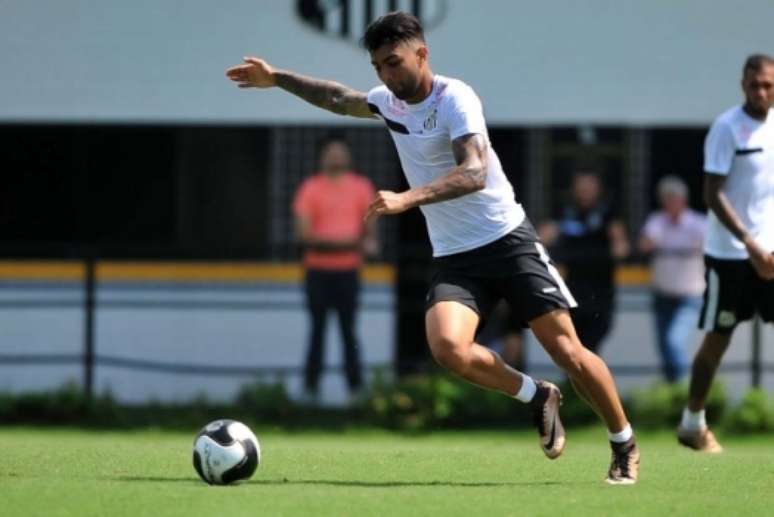 Gabigol é titular do Santos desde 2014