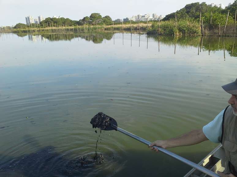 Dois rios continuam despejando diariamente uma quantidade enorme de esgoto e detritos na lagoa do Jacarepaguá. 