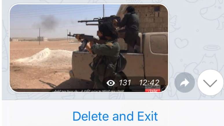 Uso do Telegram se divide entre grupos de propaganda, onde apenas os administradores podem fazer postagens, e "salas de bate-papo", onde articula&ccedil;&otilde;es pr&aacute;ticas sobre ataques seriam realizadas