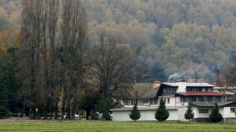 Testemunhas dizem que a atividade na col&ocirc;nia era 'fren&eacute;tica' quando ca&iacute;a a noite