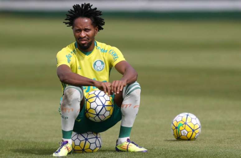 Zé Roberto elogiou a cabeça boa do jovem atacante do Palmeiras (FOTO: Cesar Greco/Palmeiras)