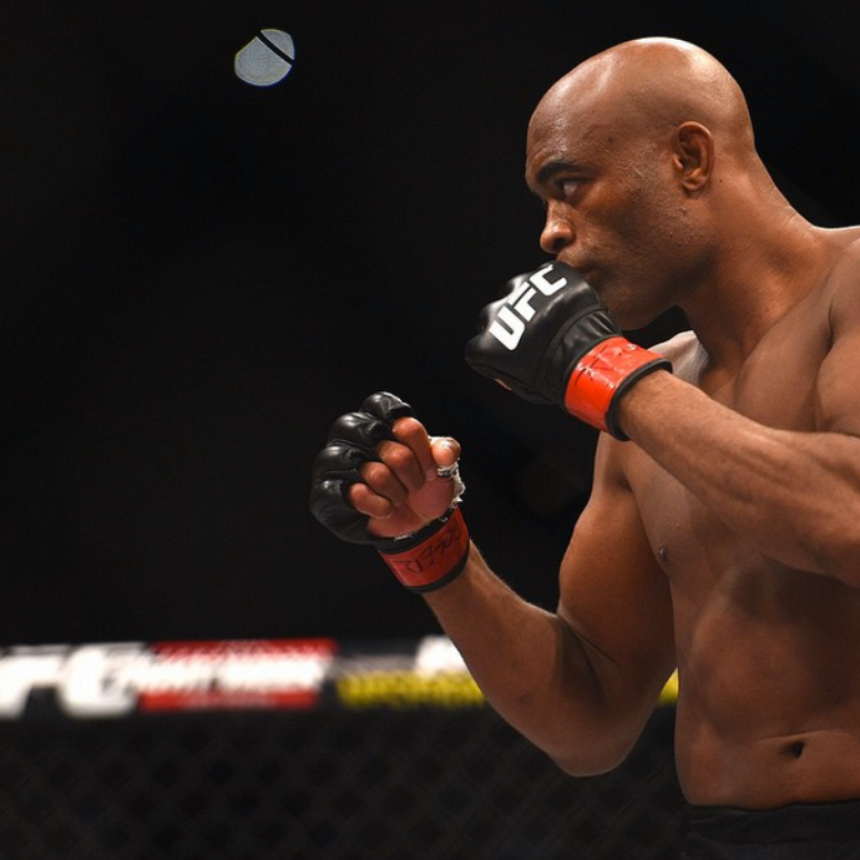 De um total de 42 lutas no cartel de artes marciais mistas, Anderson Silva venceu 33 delas, sendo 20 por nocaute. Sua rápida recuperação após a lesão surpreendeu a todos. Cinco meses depois, Spider já havia retornado aos treinos