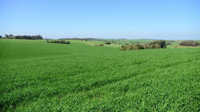 A agricultura é uma das atividades mais importantes para a economia do noroeste gaúcho 