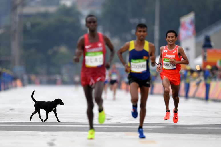 Corri (não como os atletas) para não perder o fim da maratona e com o receio de ver algum louco pulando a grade para atrapalhar a prova, como ocorreu com o brasileiro Vanderlei Cordeiro em Atenas, mas só um cachorro promoveu a 'invasão'
