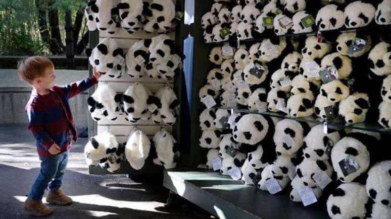 Fofos por natureza, pandas costuam atrair crianças em lojas de brinquedo
