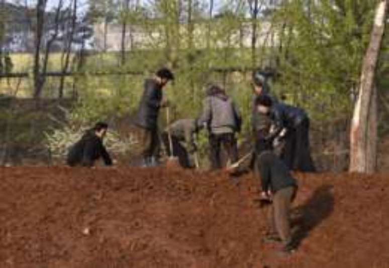 Estima-se que os trabalhadores gerem US$ 230 milh&otilde;es por ano para o regime norte-coreano