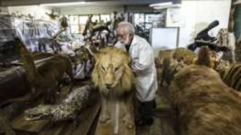 Professor João Galdino em meio ao acervo de mais de 6 mil animais empalhados, construído ao longo de cinco décadas