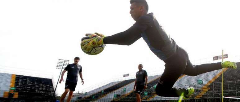 Sidão vem sendo titular da equipe alvinegra na ausência do capitão Jefferson (Foto: Divulgação/Botafogo)