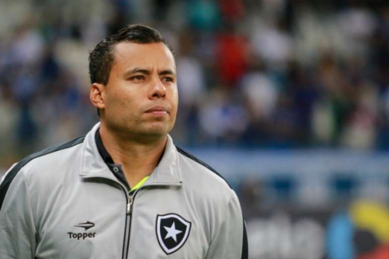 Jair Ventura tenta equilibrar o Botafogo para a reta final do Brasileirão (Dudu Macedo/Agência Lancepress!)