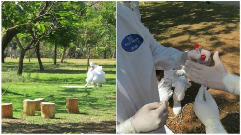 Técnicos em pesquisa de carrapato realizada neste mês no Parque Ecológico da Pampulha, em BH, por onde passou menino que morreu de febre maculosa