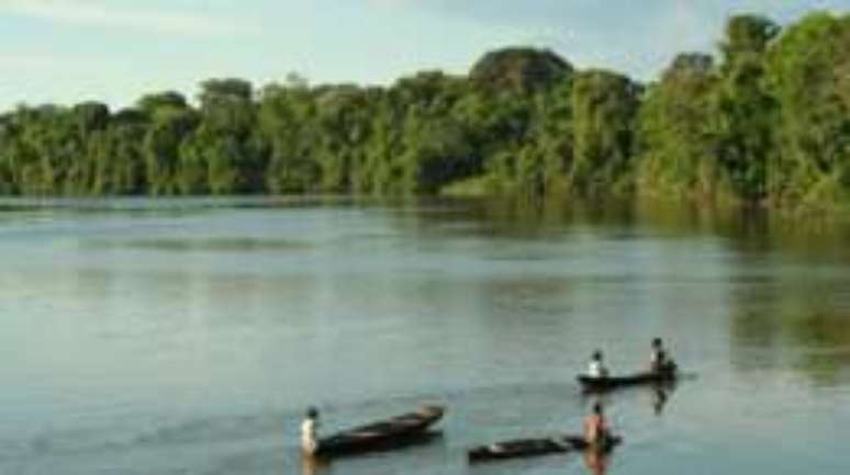 Essas cidades t&ecirc;m uma enorme quantidade da floresta em p&eacute;