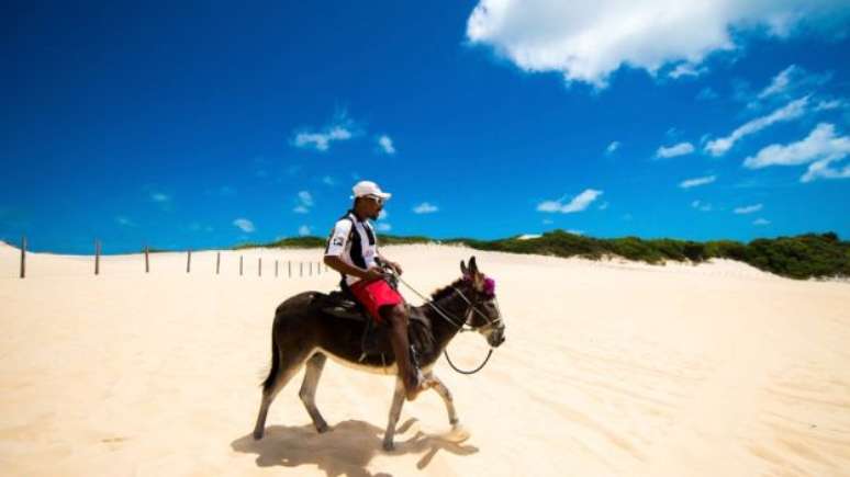 Uso de jumento na praia de Genipabu, no Rio Grande do Norte; OAB local sugere emprego do animal em projetos turísticos