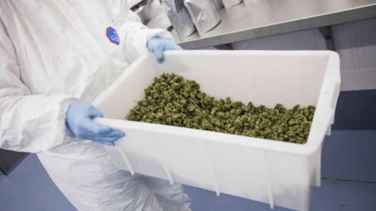 A Agência Nacional de Vigilância Sanitária (Anvisa) concedeu pela primeira vez o registro a um medicamento à base de cannabis sativa, a maconha, no País. 
