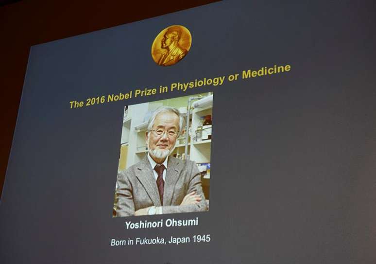 Yoshinori Ohsumi foi laureado com o Prêmio Nobel de Medicina de 2016 