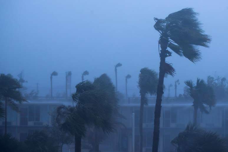 Palmeiras em Ormond Beach mostram a força dos ventos causados pelo furacão Matthew