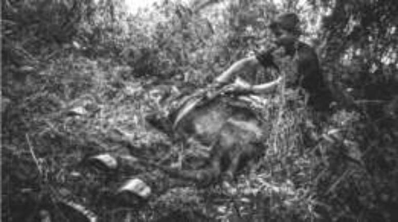 Grupo caminhou de quatro a sete horas por dia em meio &agrave; mata &uacute;mida e fechada.