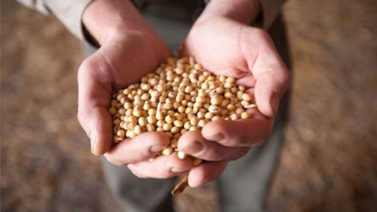 Queda no pre&ccedil;o de commodities como a soja prejudica exporta&ccedil;&otilde;es brasileiras