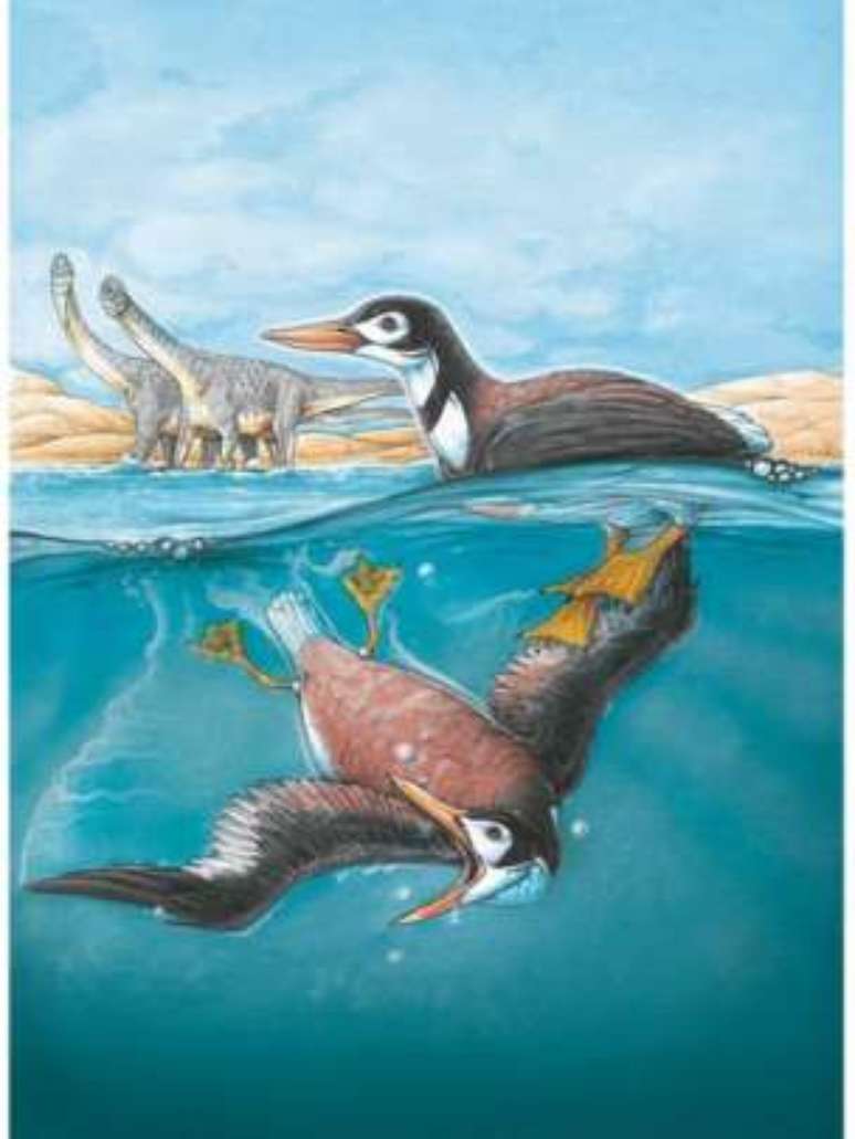 A ave viveu no final da era dos dinossauros. 