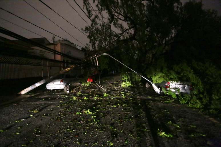 Queda de árvore sobre carros após chuva na rua Albion, zona oeste de São Paulo (SP), na quinta-feira (20).