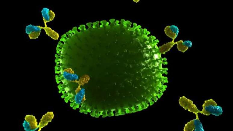Anticorpos atacando o vírus da gripe: o que eles têm a ver com a nossa vida sexual? 