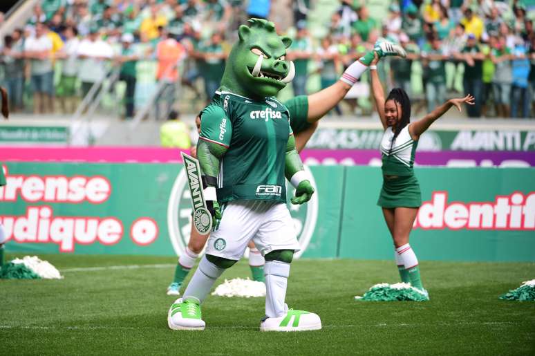 Um novo mascote foi apresentado pelo Palmeiras: o porco Gobatto