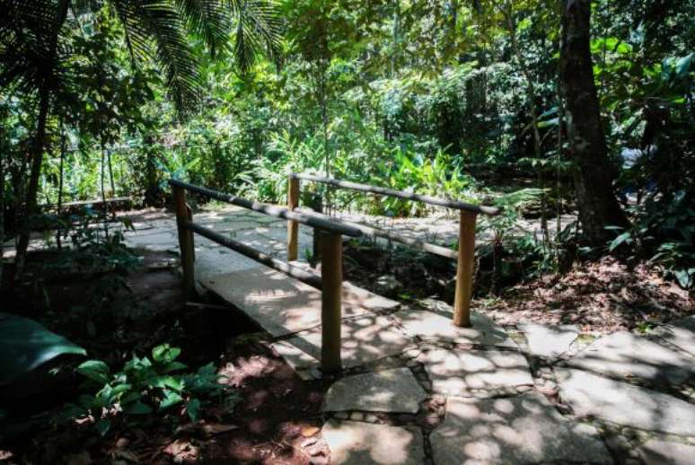 Bras&iacute;lia - No Catetinho, &agrave;s margens da fonte, a dupla Tom Jobim&nbsp; e Vin&iacute;cius de Moraes&nbsp; encontraram inspira&ccedil;&atilde;o para mais uma composi&ccedil;&atilde;o: &ldquo;&Eacute; &aacute;gua de beber, camar&aacute; (express&atilde;o popular da &eacute;poca que se referia &agrave; palavra camarada) &Eacute; &aacute;gua pura? Pode beber, Camar&aacute;? Pode. Isso aqui d&aacute; m&uacute;sica&rdquo;&nbsp; 