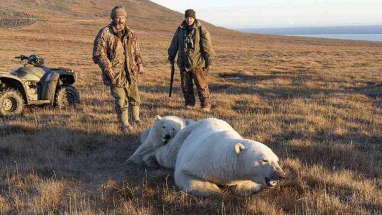 Para poder retirar a lata, guardas florestais fizeram mãe e filhote dormirem com dardos tranquilizantes 