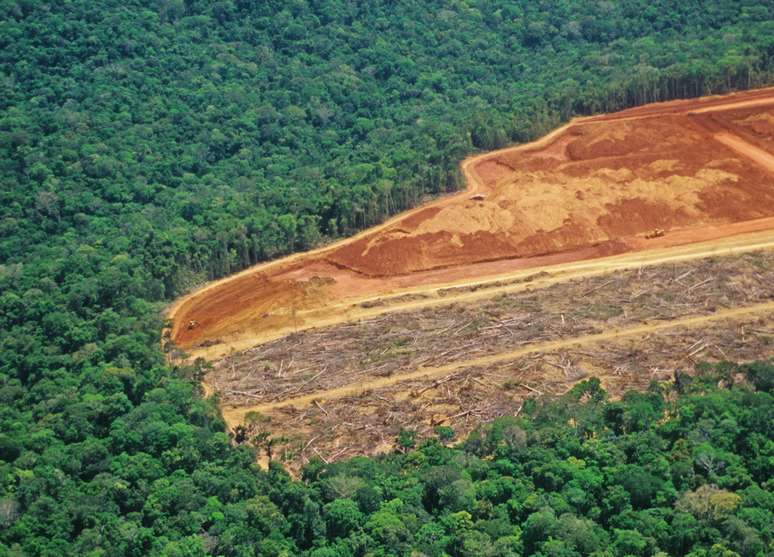 Segundo o Inpe, o desmatamento da Amazônia teve crescimento de 29% em 2016.